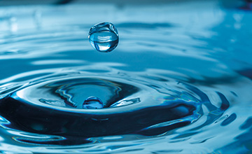 Water droplet on a lake.