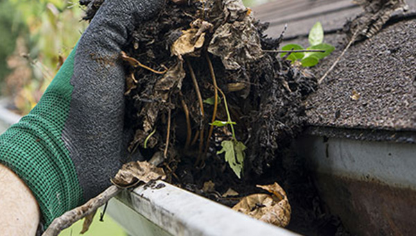 A gloved hand clearing out a dirty gutter.