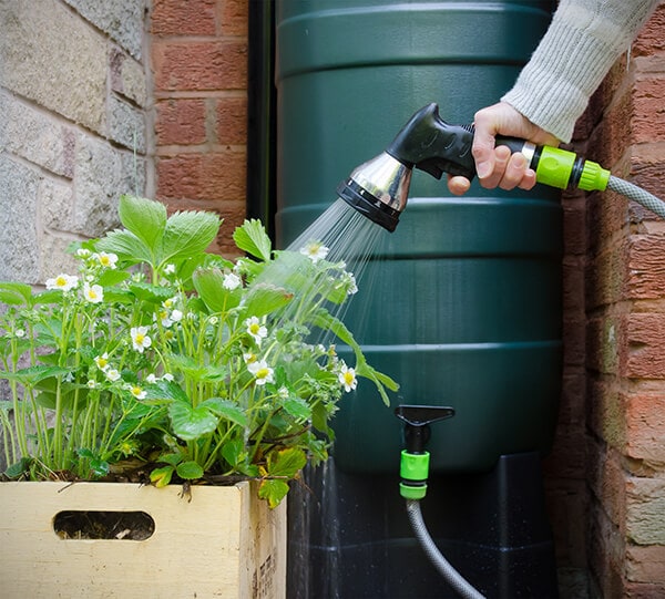 Watering Garden