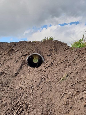 Dog tunnel.