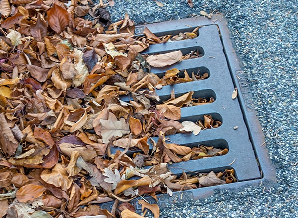 A gully blocked with leaves.