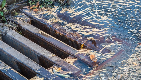 A drainage gully grate showing water flowing into it from the road.