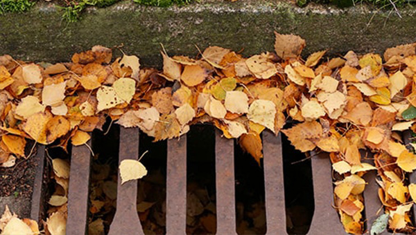 A drainage gully grate showing water flowing into it from the road.