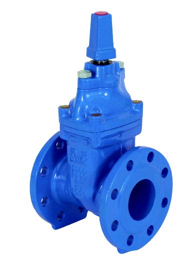 Ductile iron valve