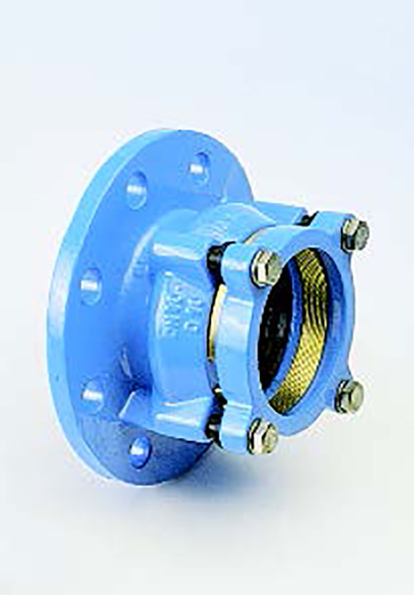 Mechanical Flange