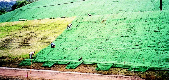 A TRM on a steep hillside.