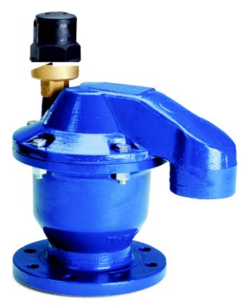 Double orifice cast iron air relief valve.